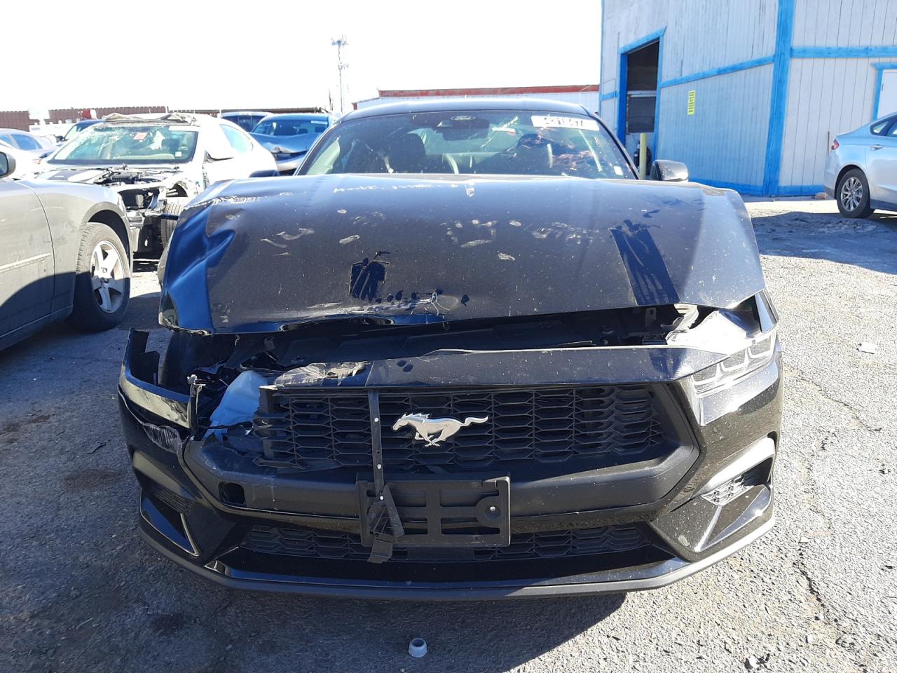 1FA6P8TH5R5106875 2024 Ford Mustang