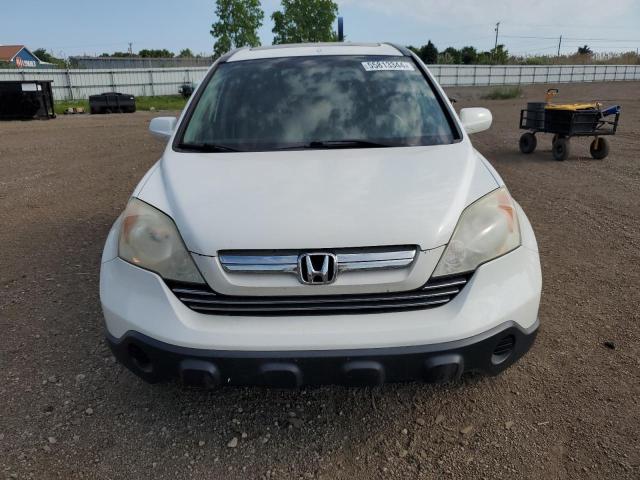 2008 Honda Cr-V Exl VIN: 5J6RE487X8L026983 Lot: 55813344