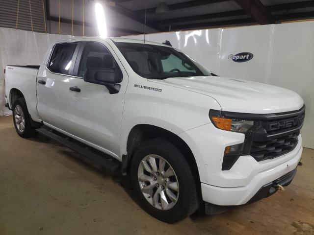 2022 Chevrolet Silverado K1500 Custom VIN: 1GCPDBEK1NZ646191 Lot: 55370854