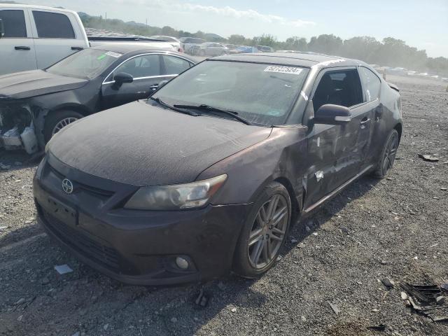 2011 Toyota Scion Tc VIN: JTKJF5C79B3016653 Lot: 52730524