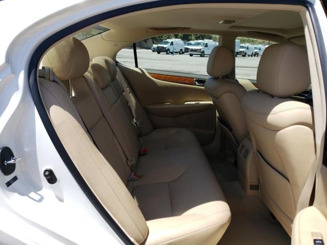 2005 Lexus Es 330 VIN: JTHBA30G455113429 Lot: 53785174