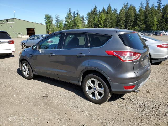 2014 Ford Escape Se VIN: 1FMCU0GX7EUA79053 Lot: 53984604