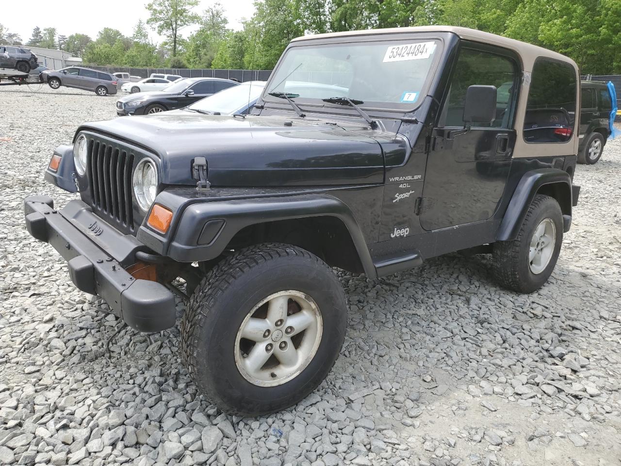 1J4FY19SXXP465037 1999 Jeep Wrangler / Tj Sport