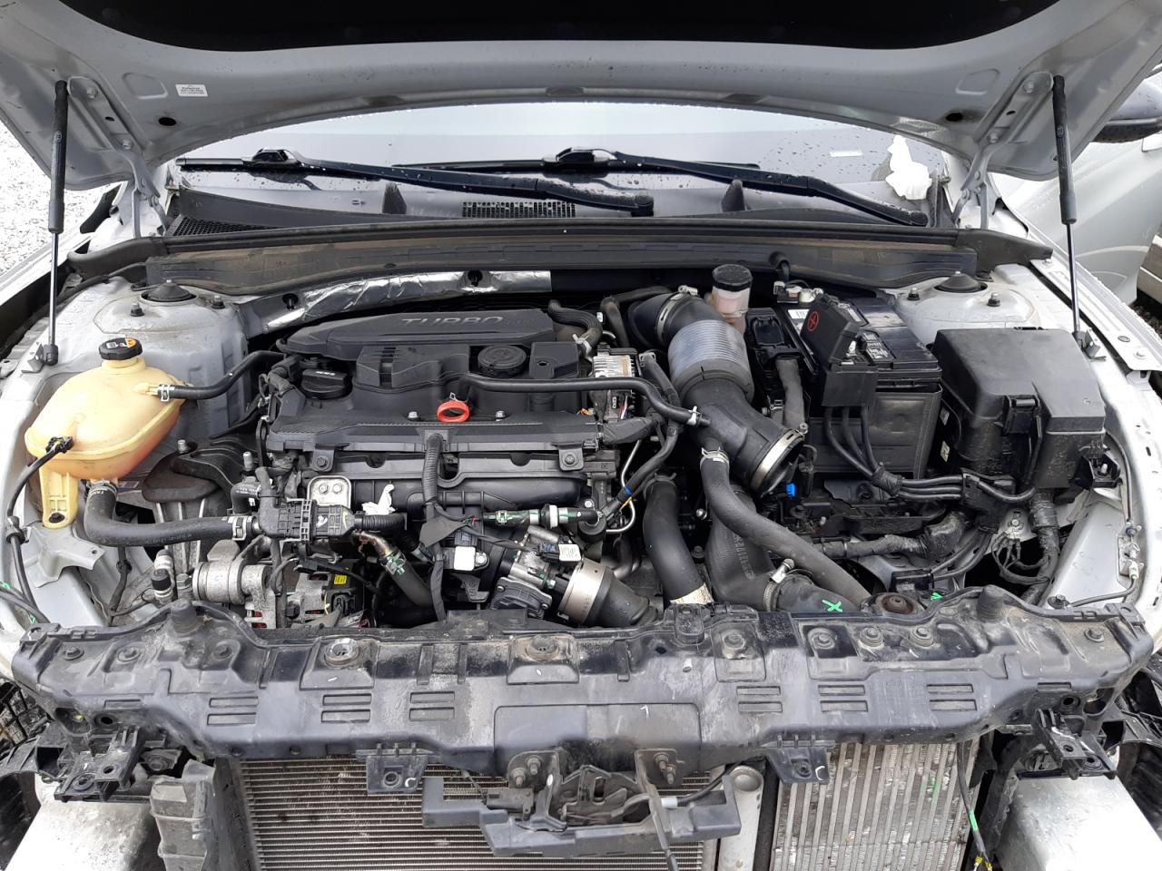 5XXG64J2XNG119426 2022 Kia K5 Gt Line