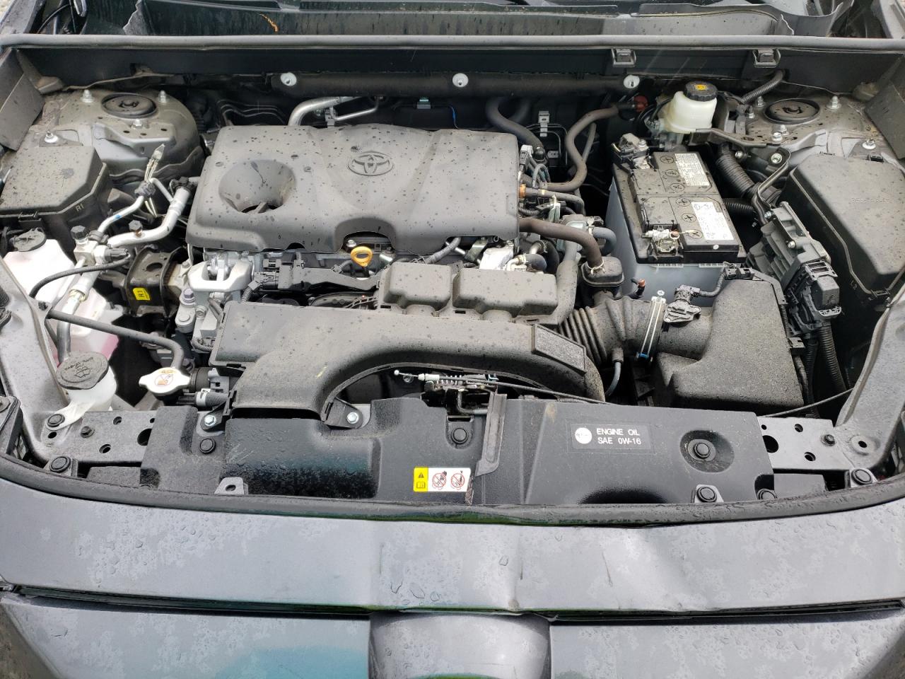 2T3W1RFV0MW163456 2021 Toyota Rav4 Xle