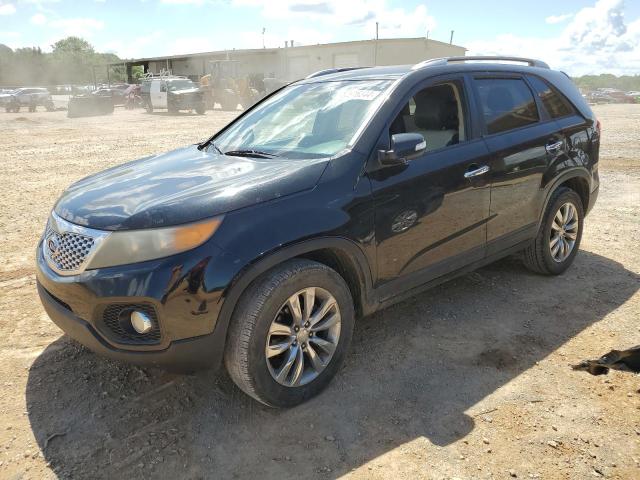 2011 Kia Sorento Ex VIN: 5XYKU4A2XBG044900 Lot: 52916344