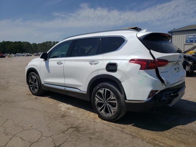 2019 Hyundai Santa Fe Limited VIN: 5NMS53AA2KH029828 Lot: 56843874