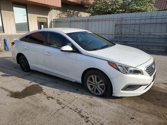 2016 HYUNDAI SONATA SE - 5NPE24AFXGH331465