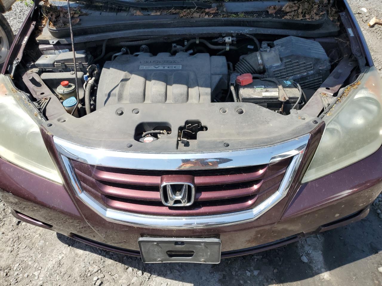 5FNRL38279B039544 2009 Honda Odyssey Lx