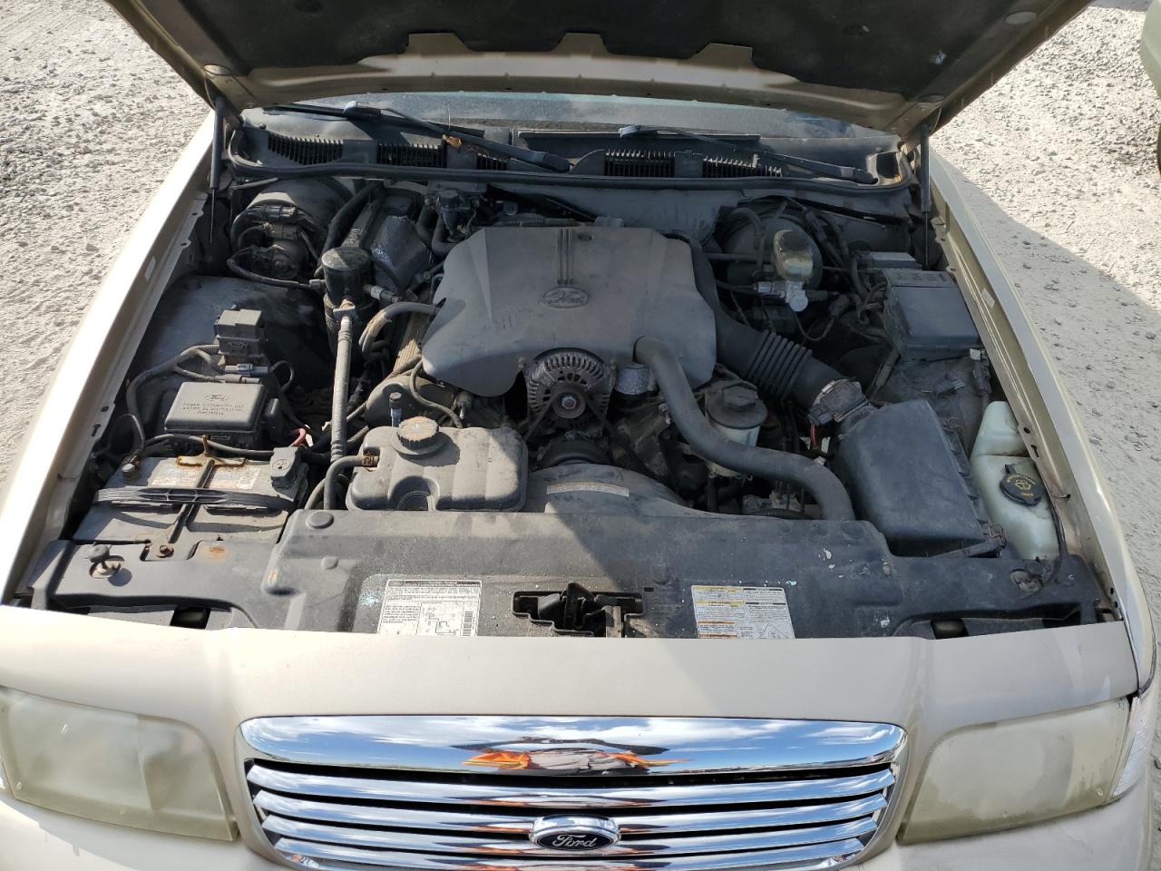 2FAFP74W9XX177760 1999 Ford Crown Victoria Lx