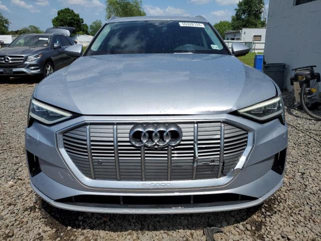 2019 Audi E-Tron Premium Plus VIN: WA1LAAGE5KB021901 Lot: 55328124