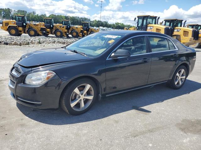 2011 Chevrolet Malibu 1Lt VIN: 1G1ZC5E18BF126001 Lot: 55172524