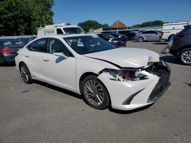 2021 LEXUS ES 300H LU 58AEA1C11MU011329
