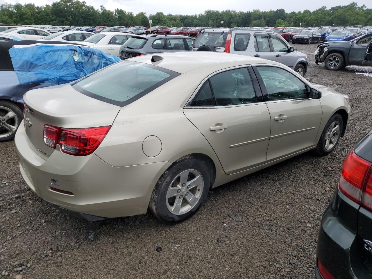 1G11B5SL0EF112636 2014 Chevrolet Malibu Ls