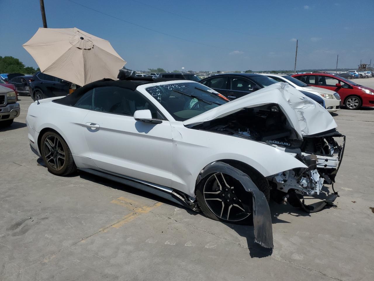 2019 Ford Mustang vin: 1FATP8UH0K5131500