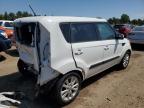 KIA SOUL + photo