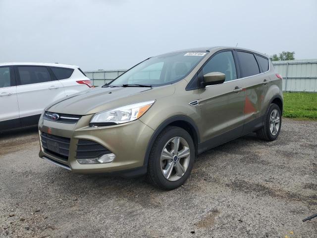 2013 Ford Escape Se VIN: 1FMCU0G99DUD34303 Lot: 55370164