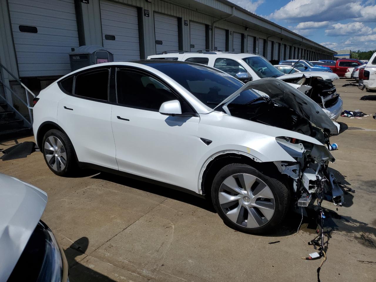 Lot #2989025534 2023 TESLA MODEL Y