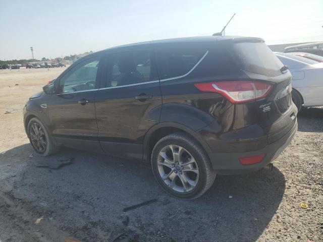 2013 Ford Escape Sel VIN: 1FMCU0HX9DUB53604 Lot: 56566644