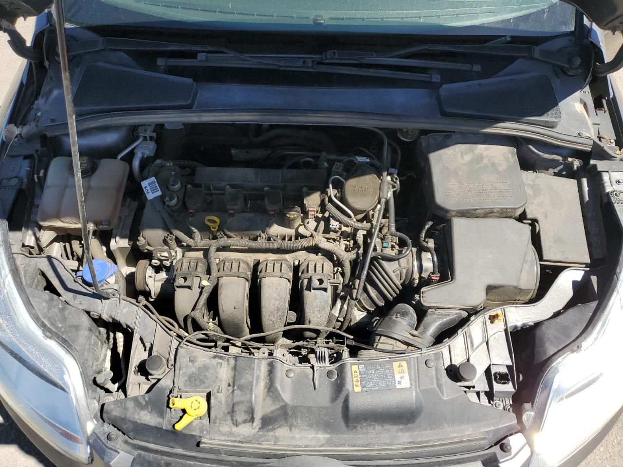 1FADP3K23EL443185 2014 Ford Focus Se