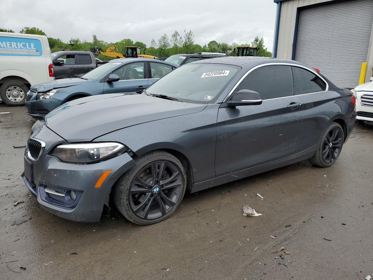 2015 BMW 228 Xi Sulev vin: WBA1G9C56FVX96788