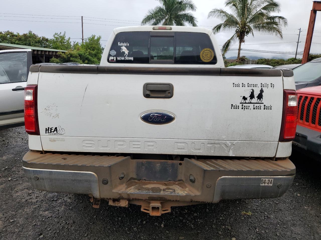 1FTSW21R69EA83983 2009 Ford F250 Super Duty