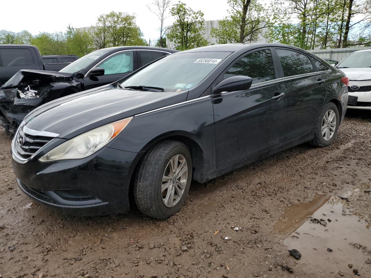 5NPEB4AC1BH098736 2011 Hyundai Sonata Gls