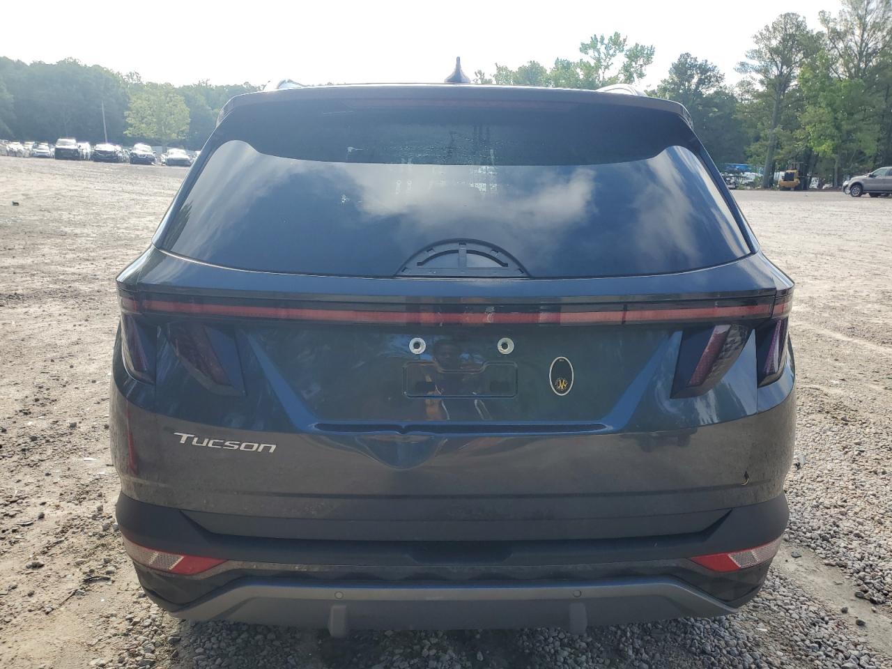 5NMJE3DE6RH312589 2024 Hyundai Tucson Limited