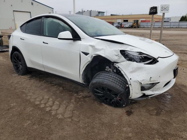 2023 Tesla Model Y VIN: 7SAYGDEE5PF585117 Lot: 54905784