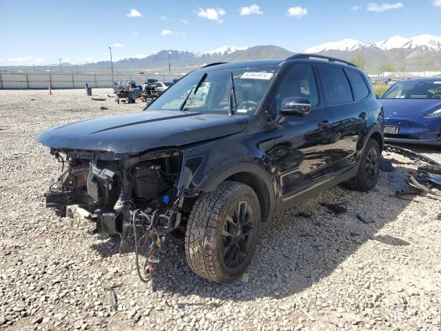 2024 Kia Telluride Sx VIN: 5XYP5DGC8RG435850 Lot: 52941974