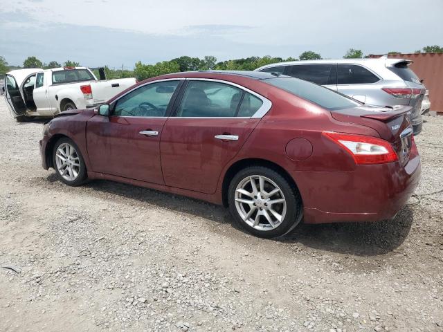 2011 Nissan Maxima S VIN: 1N4AA5AP2BC803541 Lot: 56285444