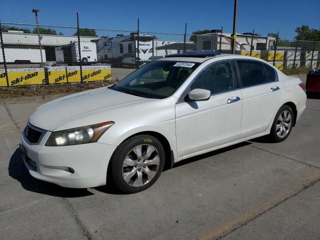 2008 Honda Accord Exl VIN: 1HGCP36888A056637 Lot: 53297344