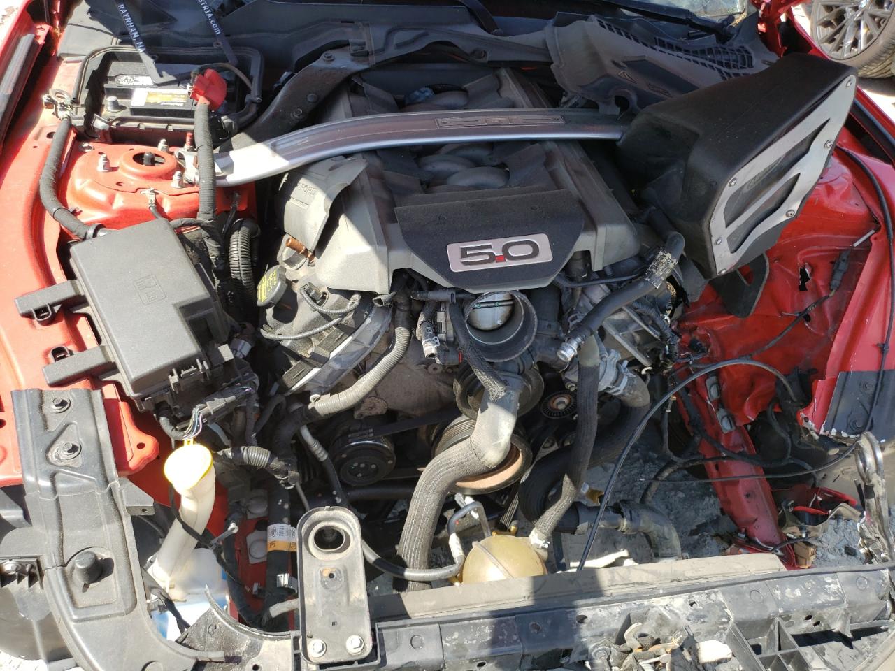 1FA6P8CF0F5318187 2015 Ford Mustang Gt