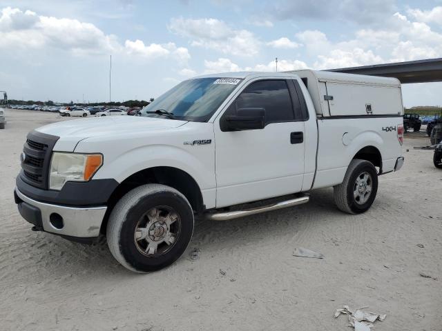 2013 Ford F150 VIN: 1FTMF1EF6DKD03670 Lot: 55230494