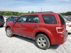 FORD ESCAPE XLT photo