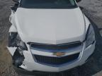 CHEVROLET EQUINOX LS photo