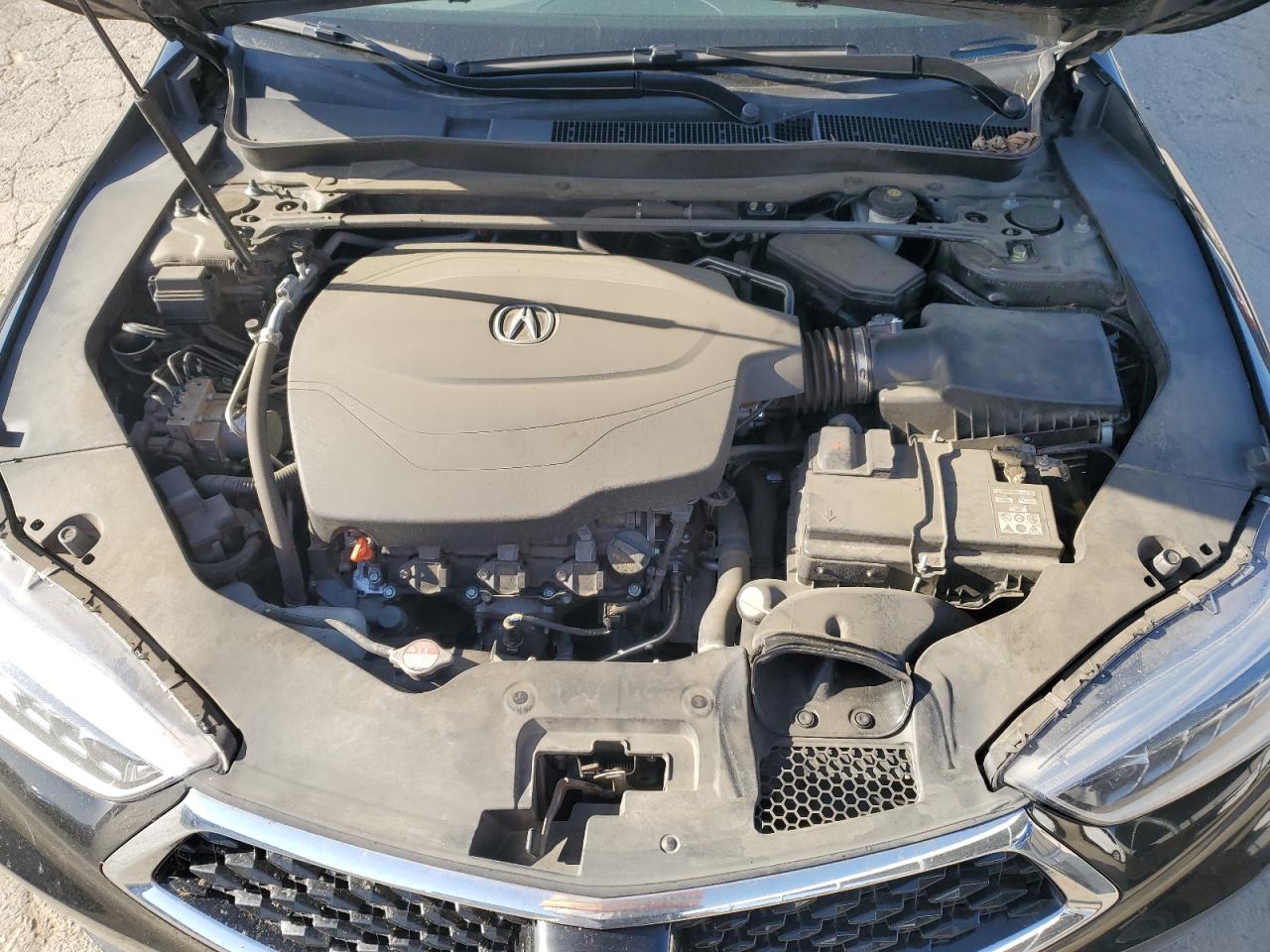 19UUB3F83KA003368 2019 Acura Tlx Advance