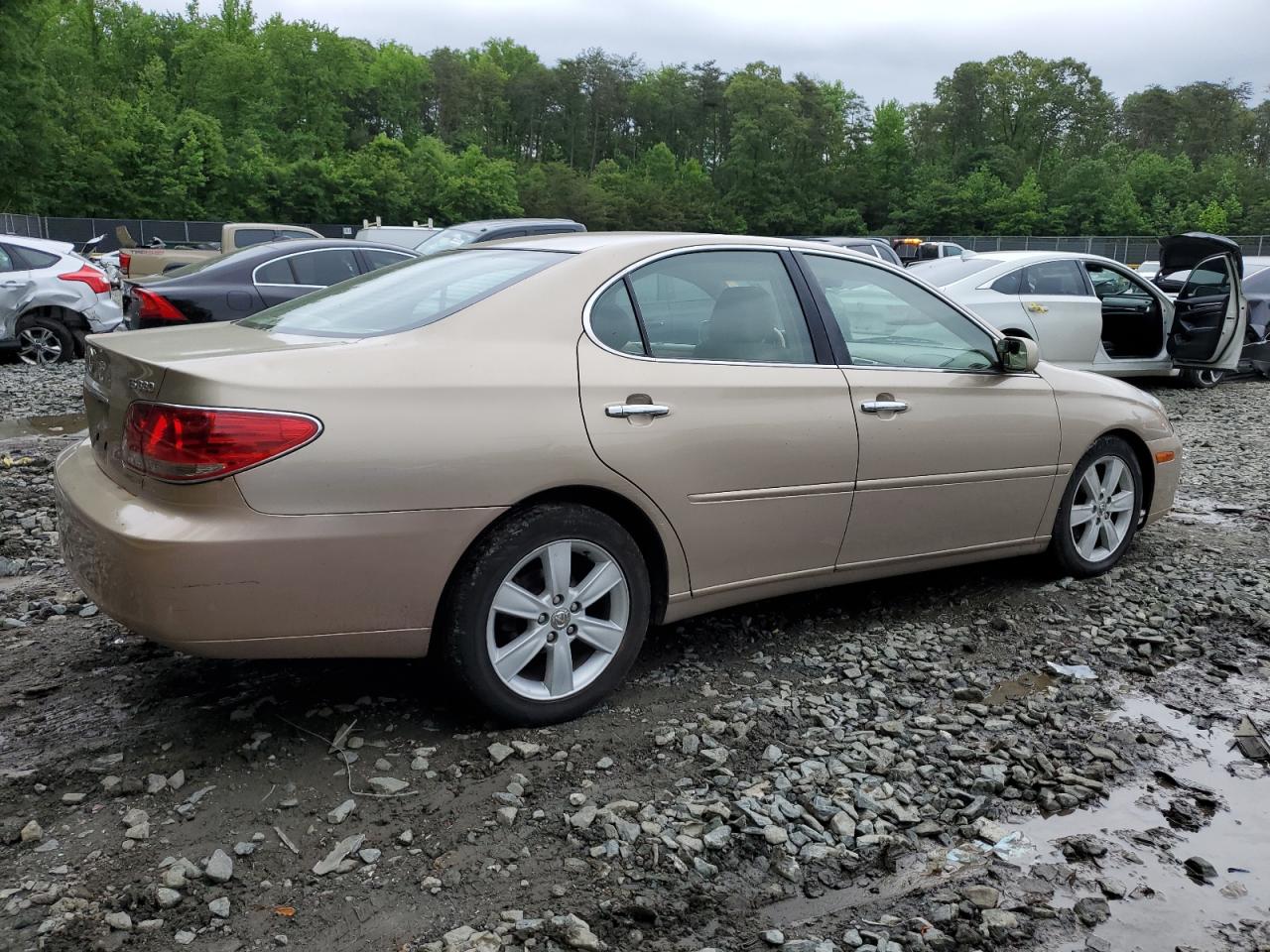 JTHBA30G165143697 2006 Lexus Es 330