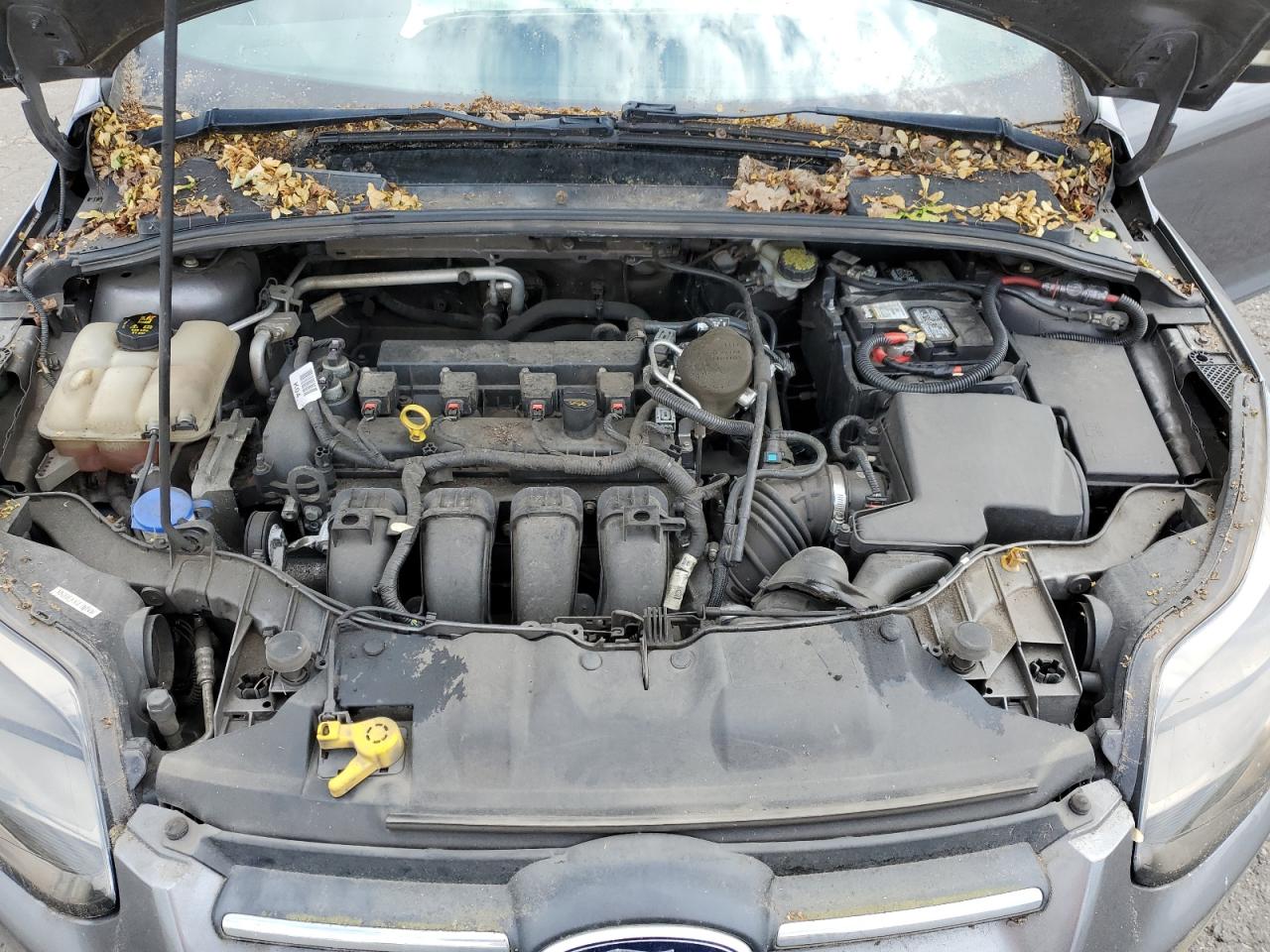 1FADP3F27EL462199 2014 Ford Focus Se