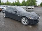 JAGUAR XE photo