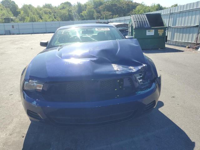 2010 Ford Mustang VIN: 1ZVBP8AN2A5133244 Lot: 56017914