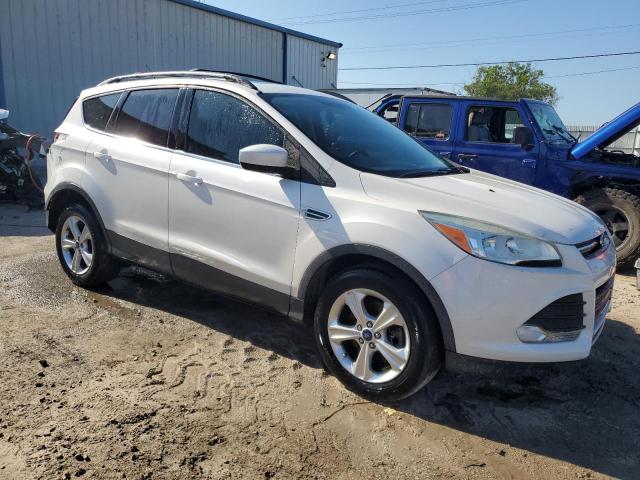 2013 Ford Escape Se VIN: 1FMCU0G99DUD49318 Lot: 55206304