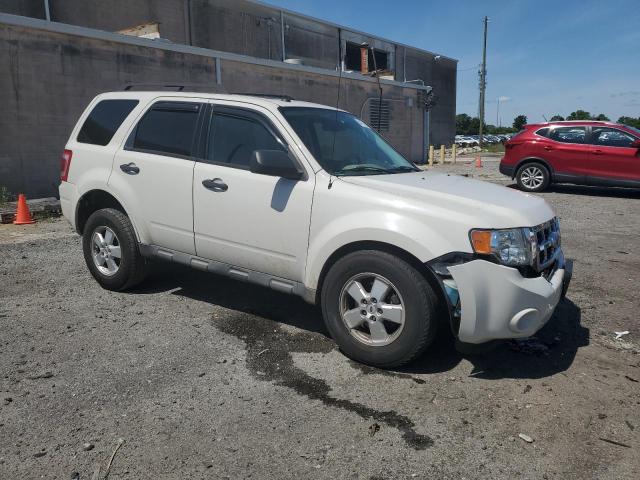 2009 Ford Escape Xlt VIN: 1FMCU03769KC47143 Lot: 54771404