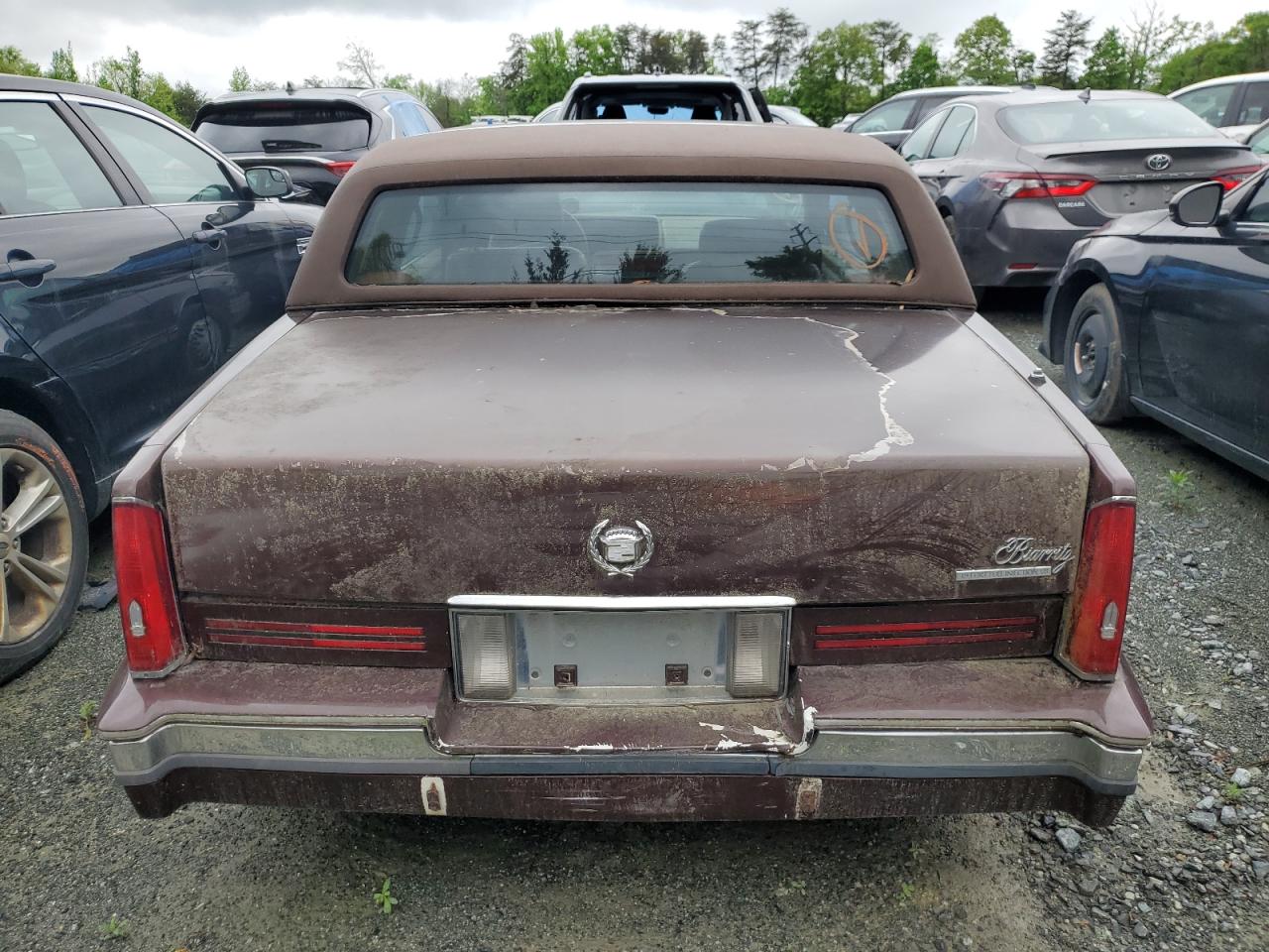 1G6EL13B5MU608730 1991 Cadillac Eldorado