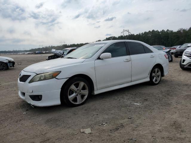 Lot #2542338932 2010 TOYOTA CAMRY BASE salvage car