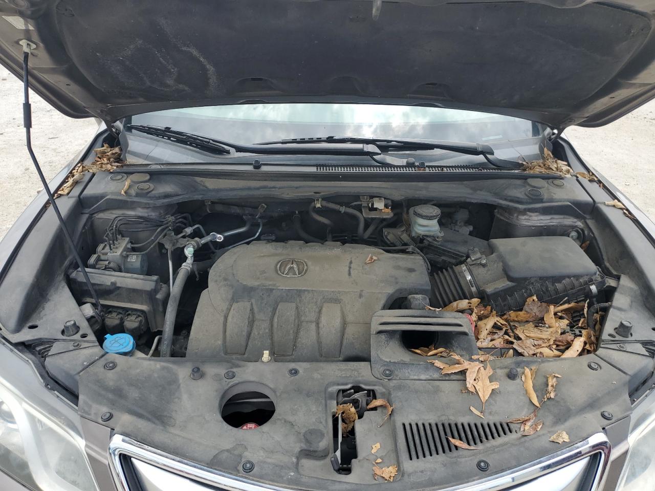 5J8TB3H35DL006082 2013 Acura Rdx