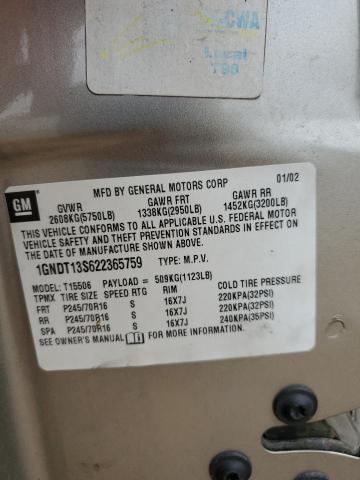 2002 Chevrolet Trailblazer VIN: 1GNDT13S622365759 Lot: 53659654