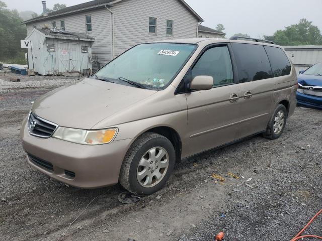 2004 Honda Odyssey Exl VIN: 5FNRL18744B145510 Lot: 54459734