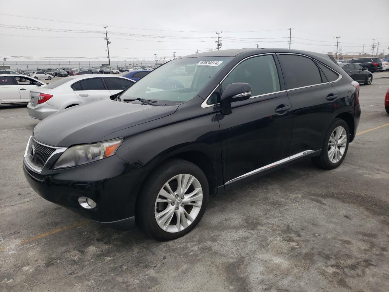 JTJZB1BA1B2404927 2011 Lexus Rx 450