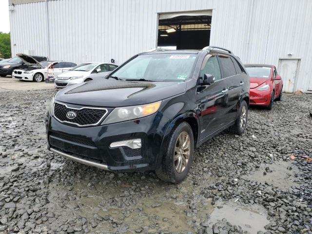 2011 Kia Sorento Sx VIN: 5XYKWDA20BG121929 Lot: 54066844